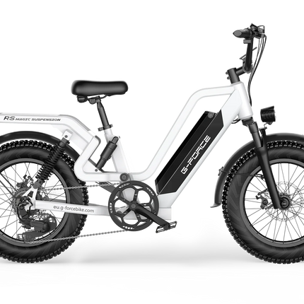 Bicicletta Elettrica G-FORCE RS ST per Tutti i Terreni, Potenza 750W, Batteria 48V15Ah, Bici Elettrica per Adulti, Pneumatici Larghi 20*4 Pollici per Tutti i Terreni