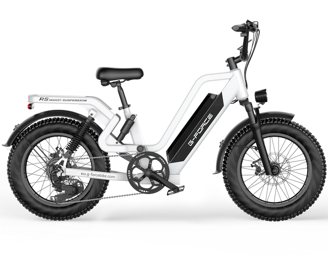 G-FORCE RS ST All-Terrain Electric Bicycle, 750W Power, 48V15Ah Battery, Electric Bike for Adults, 20*4 Inch All-Terrain Fat Tires