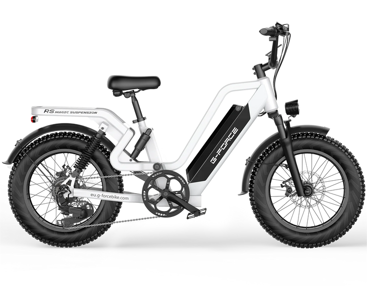 Bicicletta Elettrica G-FORCE RS ST per Tutti i Terreni, Potenza 750W, Batteria 48V15Ah, Bici Elettrica per Adulti, Pneumatici Larghi 20*4 Pollici per Tutti i Terreni