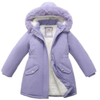 JK092-Purple