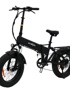 [Spedizione Diretta UE] Bicicletta Elettrica da Pendolarismo per Adulti, Fatbike Pieghevole Fuoristrada 48V13Ah 20*4.0\" con Trasmissione a 7 Velocità e APP