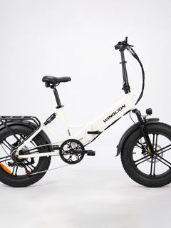 WINGLION EB-FF2.0 Bicicletta Elettrica Pieghevole da Donna, Motore 750W, Batteria 48V 15Ah, Autonomia 100KM, Velocità 40KM/H, Pneumatici Fat 4.0 da 20 Pollici, E-bike Pieghevole per Tutti i Terreni