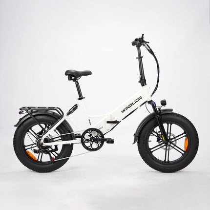 WINGLION EB-FF2.0 Bicicletta Elettrica Pieghevole da Donna, Motore 750W, Batteria 48V 15Ah, Autonomia 100KM, Velocità 40KM/H, Pneumatici Fat 4.0 da 20 Pollici, E-bike Pieghevole per Tutti i Terreni