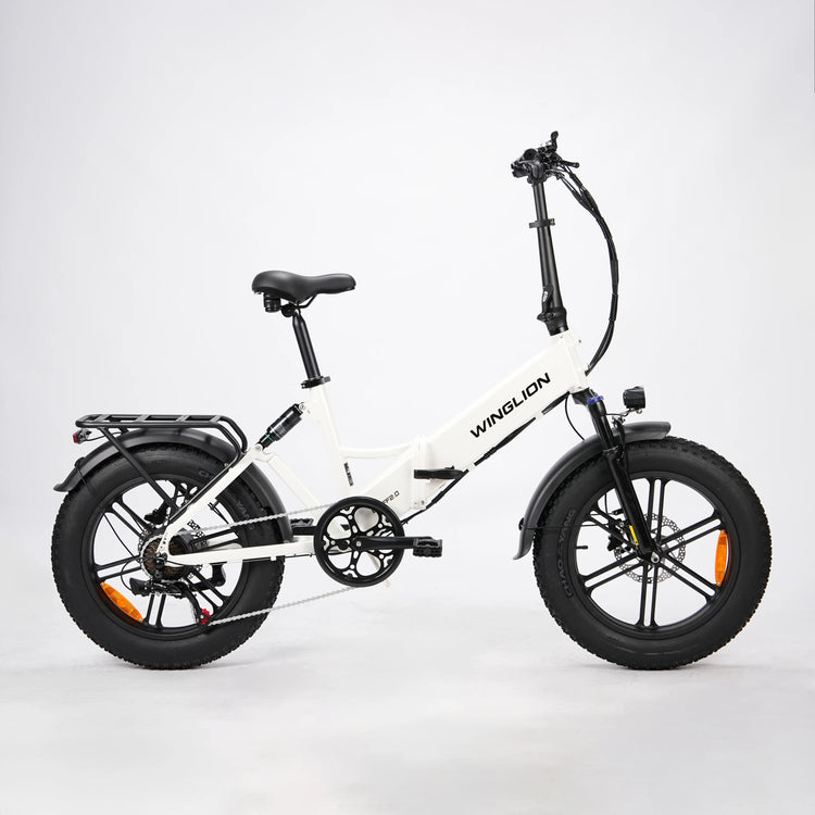WINGLION EB-FF2.0 Bicicletta Elettrica Pieghevole da Donna, Motore 750W, Batteria 48V 15Ah, Autonomia 100KM, Velocità 40KM/H, Pneumatici Fat 4.0 da 20 Pollici, E-bike Pieghevole per Tutti i Terreni