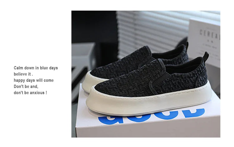 2025 Autumn New Fashion Shallow Mouth Casual Canvas Shoes for Men Breathable Comfortable Niche Design Versatile Chunky Sneakers