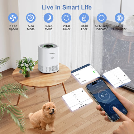 Chuboor Purificatori d'Aria per Camera da Letto Casa, Detergente per Filtri con Filtri in Spugna Allergie di Fumo Scatola di Animali Domestici Odore Polvere, Ufficio, Desktop