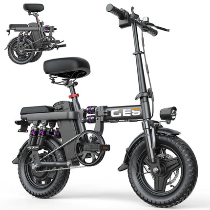 TOOFLY GE5 Folding Electric Bicycle 250W Motor 48V15AH Removable Lithium Battery Electric Bike for Adults City Riding Commuting Ebike