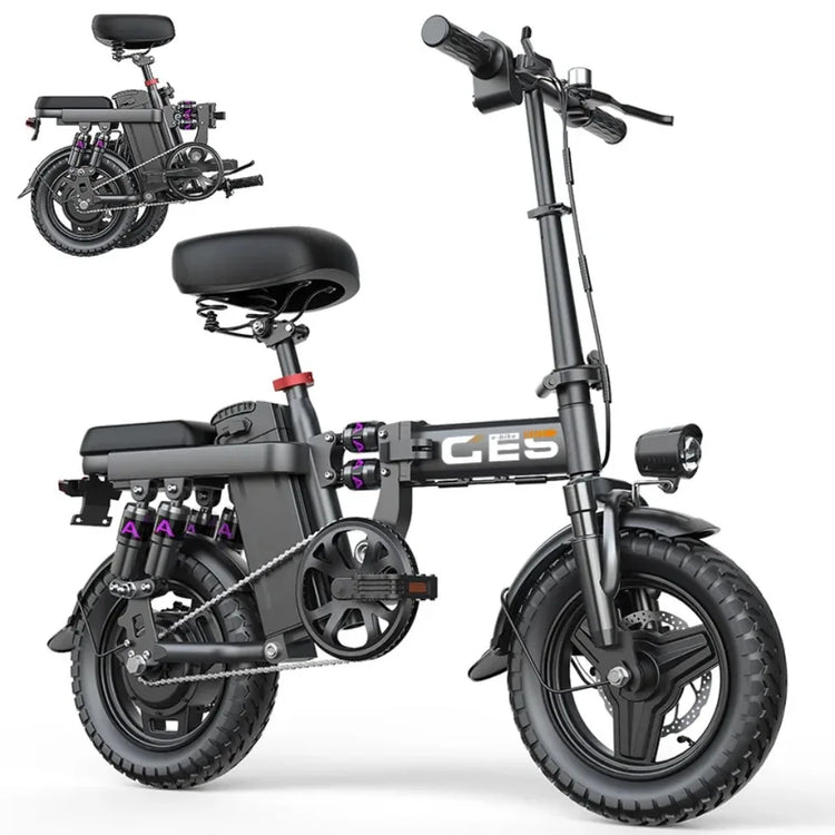 TOOFLY GE5 Bicicletta Elettrica Pieghevole 250W Motore 48V15AH Batteria Al Litio Rimovibile Bici Elettrica Per Adulti Città Equitazione Pendolarismo Ebike