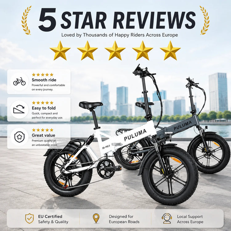 Bicicletta elettrica pieghevole PULUMA FM2.0 con motore da 500W, batteria rimovibile 48V15AH, pneumatici all-terrain da 20*4 pollici, e-bike da montagna per adulti, velocità 25-40km/h, freni a disco idraulici a 7 velocità,