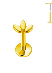Gold Color-1