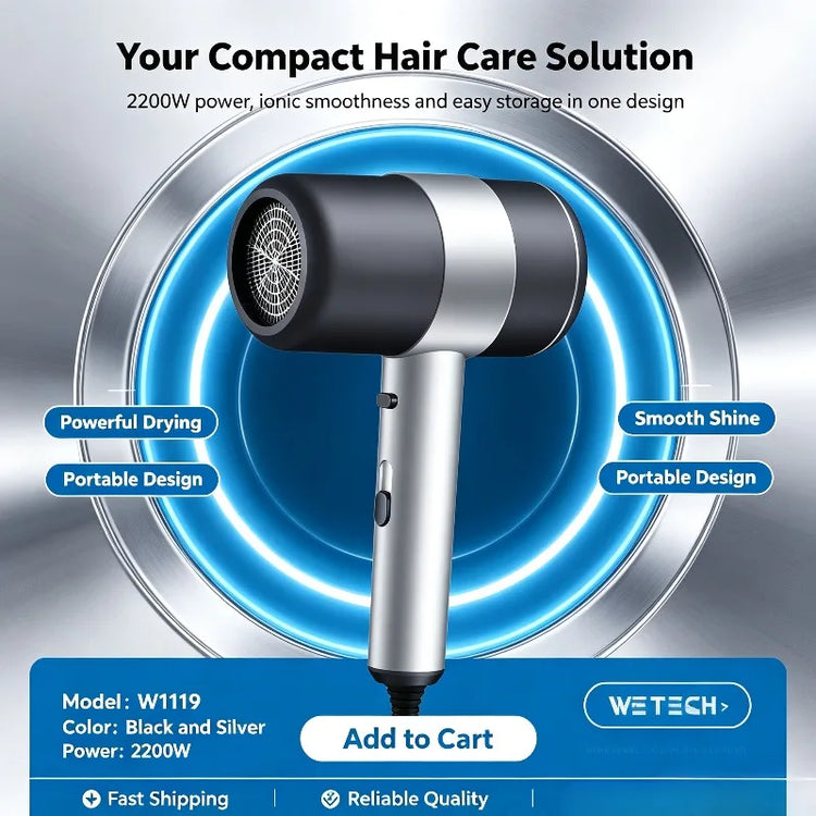 WETECH W1119 2200W Negative Ionic Hair Dryer 220-240V EU Plug Professional Compact Hair Blow Dryer With Concentrator Nozzle Cool Shot Function For Home Travel