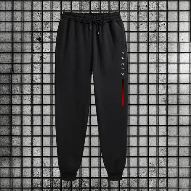 Men's Tracksuit Hoodies Pants Plus Size Autumn Winter Daily Casual Sporty Jogging Suit Fashion Sweatshirt Outfit Male Sports Set PlatiNum
