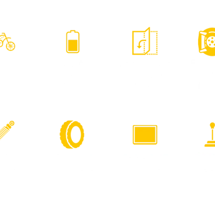 PVY Z20PLUS 1000 Bici Elettrica Per Adulti 250W Motore Città Bicicletta Elettrica 48V16.5AH Batteria E-bike 20 Pollici Fat Tire Ebike