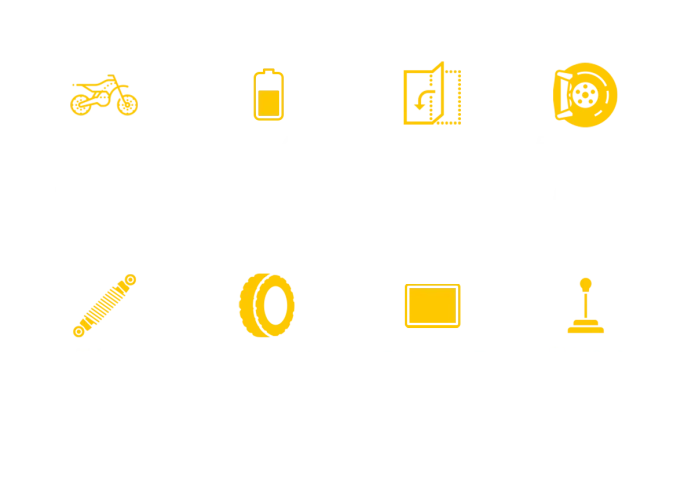 PVY Z20PLUS 1000 Bici Elettrica Per Adulti 250W Motore Città Bicicletta Elettrica 48V16.5AH Batteria E-bike 20 Pollici Fat Tire Ebike