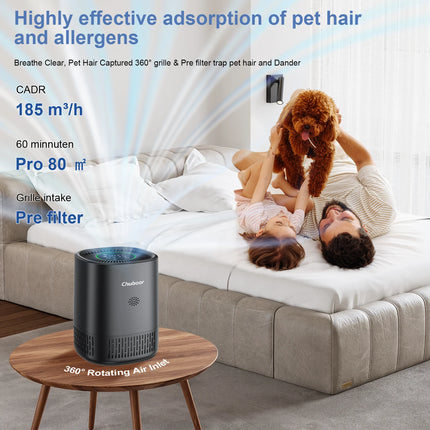 Chuboor Purificatori d'Aria per Camera da Letto Casa, Detergente per Filtri con Filtri in Spugna Allergie di Fumo Scatola di Animali Domestici Odore Polvere, Ufficio, Desktop
