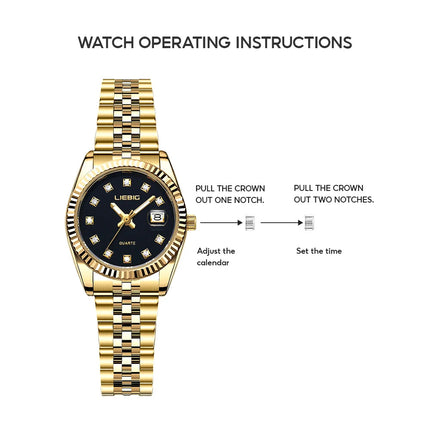 LIEBIG orologi da polso al quarzo eleganti di lusso delle migliori marche orologi automatici di moda per le donne orologio con cinturino in acciaio inossidabile Reloj Mujer platinumshop