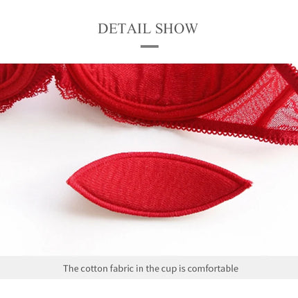Sexy Women Simple Bra Women's Push Up 2cm Lace Bras for Women Plus Size Bra Lingerie Sponge Breast Bra Ladies Underwear