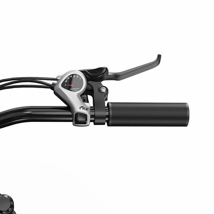 DUOTTS C29 Lite Bici Elettrica per Città, Motore 250W e 43Nm, Autonomia fino a 65km in PAS, Batteria 36V 13Ah Rimovibile, Cambio Shimano 7 Velocità, Freni a Disco, Sospensione Anteriore, Pneumatici 27.5"