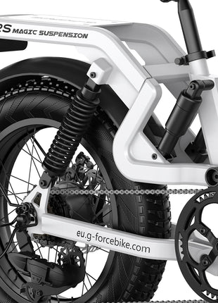 Bicicletta Elettrica G-FORCE RS ST per Tutti i Terreni, Potenza 750W, Batteria 48V15Ah, Bici Elettrica per Adulti, Pneumatici Larghi 20*4 Pollici per Tutti i Terreni