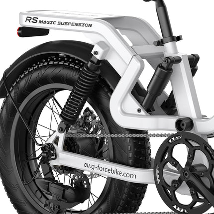 Bicicletta Elettrica G-FORCE RS ST per Tutti i Terreni, Potenza 750W, Batteria 48V15Ah, Bici Elettrica per Adulti, Pneumatici Larghi 20*4 Pollici per Tutti i Terreni