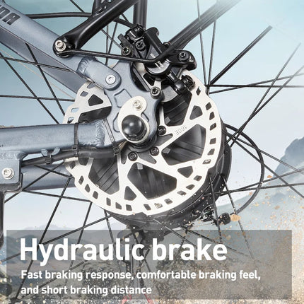 BURCHDA RX80 Bicicletta Elettrica per Adulti, Motore 1000W, Batteria 48V20AH960WH, E-bike con Pneumatici Fat da 26 Pollici per Tutti i Terreni, 45KM/H, E-Mountain Bike