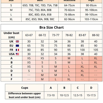 Embroidery Transparent Floral 2 Pieces Exquisite Lace Lingerie Set Push Up Bra Briefs Sets See Through Exotic Lingeries Sets