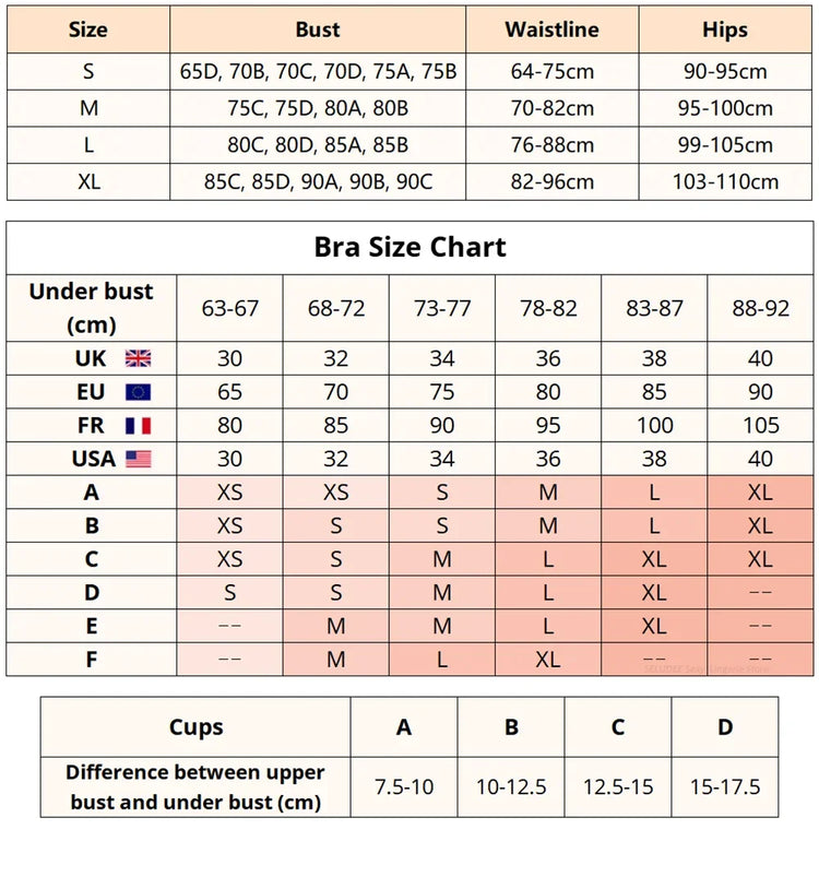 Embroidery Transparent Floral 2 Pieces Exquisite Lace Lingerie Set Push Up Bra Briefs Sets See Through Exotic Lingeries Sets