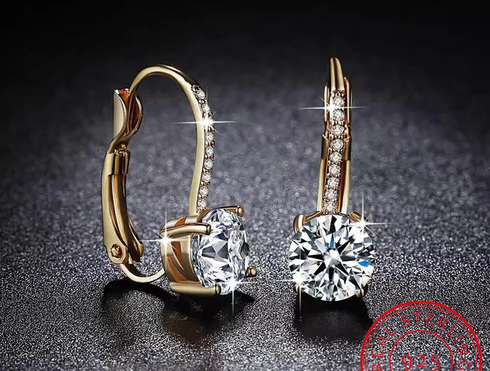 18K Gold 2 Carat Moissanite Hoop Earrings 8mm Lab Diamond Earring for Women Original 925 Silver Jewelry Huggies PlatiNum