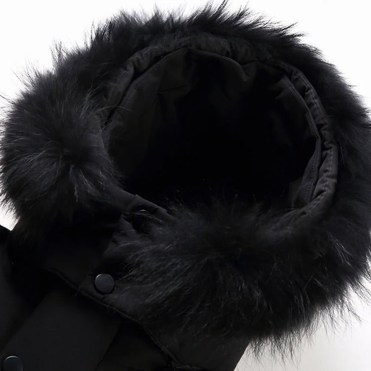 Sb77d729e203c4dd7840c07d6cad2b3b2T - platinumshop