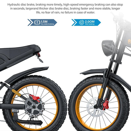 Bicicletta elettrica COSWHEEL GT20 Edition 2000W 48V 25A da montagna e fuoristrada, E-Bike da 20 pollici per tutti i terreni.