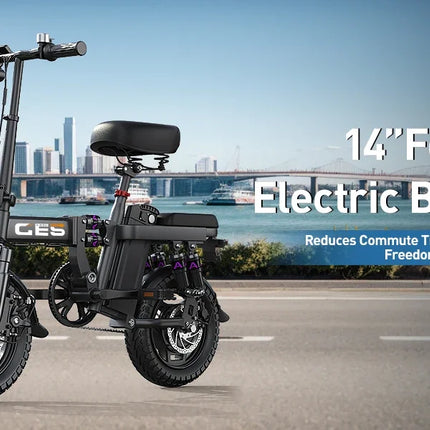 TOOFLY GE5 Folding Electric Bicycle 250W Motor 48V15AH Removable Lithium Battery Electric Bike for Adults City Riding Commuting Ebike
