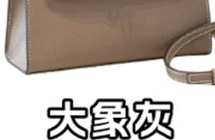 Women's handbag Bag for Woman of Genuine Leather in Gold or Silver Buckle Designer Bag Women's bag Luxury brand bag Shoulder ba PlatiNum