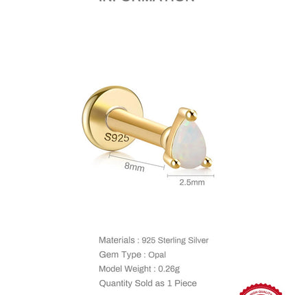 CANNER 1PC 925 Sterling Silver Exquisite Crown Opal Piercing Earring for Women Ear Studs Cartilage Earring Body Jewelry Gift PlatiNum