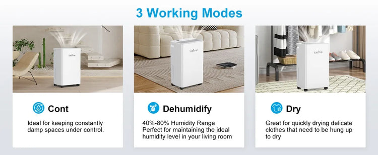 LOEFME Deumidificatore Elettrico Sbrinamento 24H Timer Smart Home Camera Da Letto Seminterrato Automatico 16L/24H 2L Serbatoio Acqua con Ruote Tubi