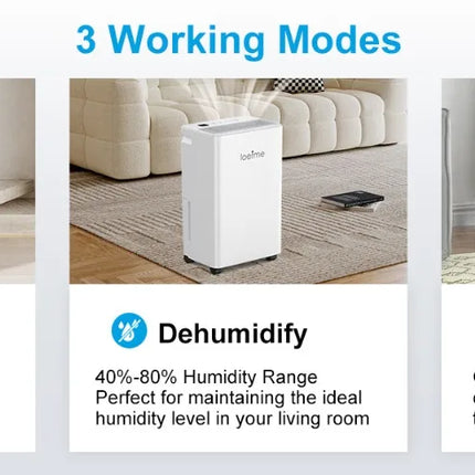 LOEFME Deumidificatore Elettrico Sbrinamento 24H Timer Smart Home Camera Da Letto Seminterrato Automatico 16L/24H 2L Serbatoio Acqua con Ruote Tubi