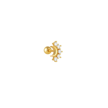 CANNER 1PC 925 Sterling Silver Crown Horse Eye Zircon Heart Flat Head Cartilage Piercing Stud Earring For Women Claasic Earring PlatiNum