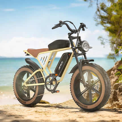 Bicicletta Elettrica per Adulti JANSNO X70G 750W 48V 37AH con Doppia Batteria Rimovibile, Pneumatici Fat da 20 Pollici, E-Bike Fuoristrada per Tutti i Terreni