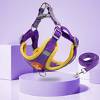 Viola