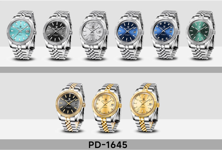 PAGANI DESIGN Luxury Men's Automatic Mechanical Watch Top Sapphire Stainless Steel 100m Waterproof Business Leisure Watch