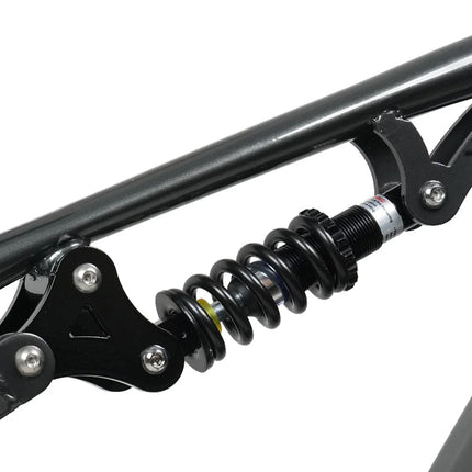 Bici Elettrica Fuoristrada C01, E-bike da Montagna 26'', Doppio Motore, Potenza di Picco 3000W, Batteria al Litio Rimovibile 48V 20Ah, Doppia Sospensione, Velocità Massima 60-63km/h