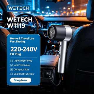 WETECH W1119 2200W Negative Ionic Hair Dryer 220-240V EU Plug Professional Compact Hair Blow Dryer With Concentrator Nozzle Cool Shot Function For Home Travel