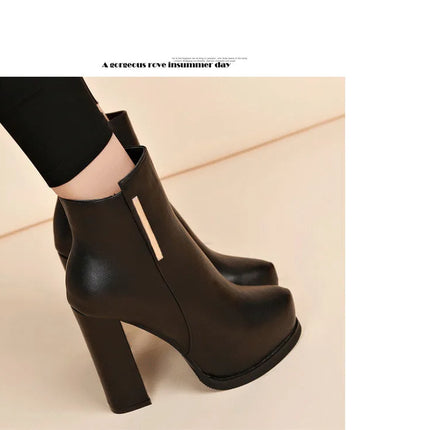 Autumn Winter Plush Boots Women British Thick Heel Waterproof Platform Thick Bottom Short Boot High Heels Lady