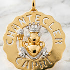 Ciondolo Chantecler - Una Gioielleria di Alta Qualità a Prezzo Conveniente, Accendi la Tua Passione per lo Stile platinumshop