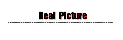 Sc530c31565a94d0f9394aff8a658e6c67 - platinumshop