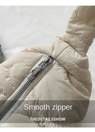 Puffer Shoulder Bag for Women Soft Down Cotton Padded Tote Handbag Purse Quilted Cross Body Bag Solid Color Bubbles Cloud Bag PlatiNum