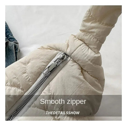 Puffer Shoulder Bag for Women Soft Down Cotton Padded Tote Handbag Purse Quilted Cross Body Bag Solid Color Bubbles Cloud Bag PlatiNum