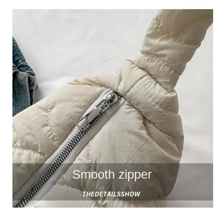 Puffer Shoulder Bag for Women Soft Down Cotton Padded Tote Handbag Purse Quilted Cross Body Bag Solid Color Bubbles Cloud Bag PlatiNum