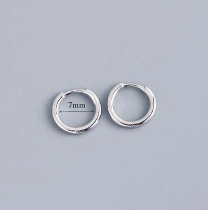 2 pezzi piccoli orecchini a cerchio piccoli Huggie in acciaio inossidabile per le donne cerchio rotondo punk unisex orecchini rock gioielli penetranti della cartilagine PlatiNum