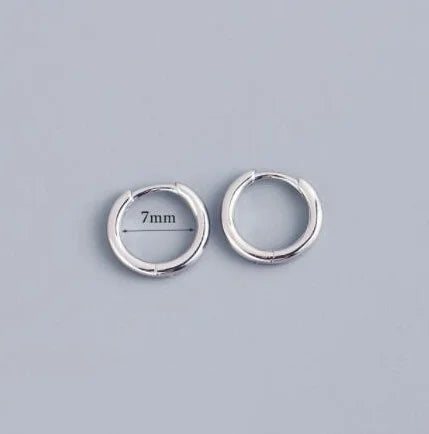 2 pezzi piccoli orecchini a cerchio piccoli Huggie in acciaio inossidabile per le donne cerchio rotondo punk unisex orecchini rock gioielli penetranti della cartilagine PlatiNum