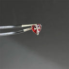EGD-382-R
